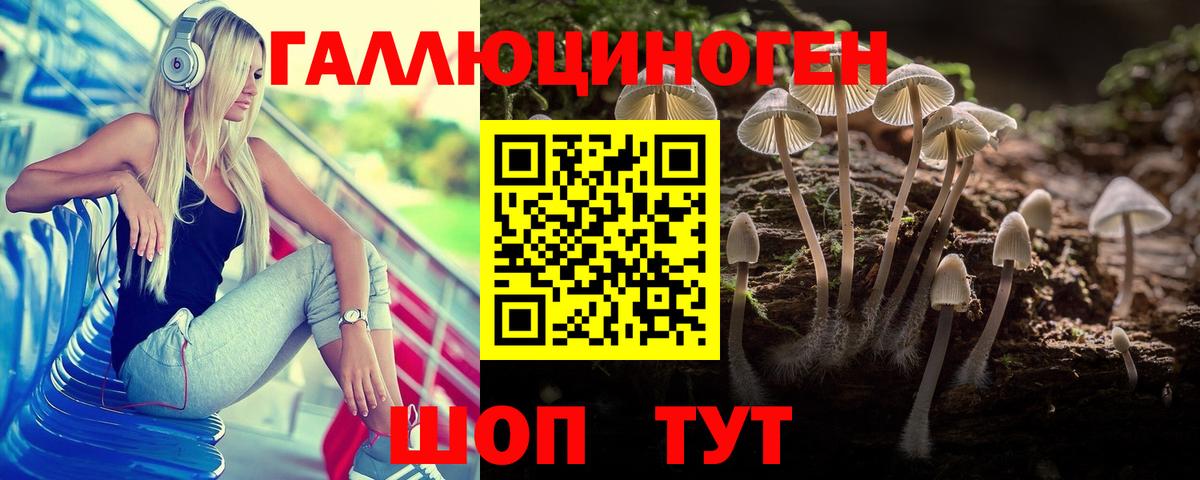 Людиново  Псилоцибиновые грибы Cubensis  Вход с VPN  Псилоцибиновые грибы Psilocybine cubensis 